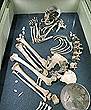 o-4_AeltesterDarmstaedter_91x110.jpg